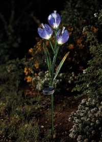 Садовый солнечный светильник-цветок Крокус от Smart Garden заказать в интернет-магазине Consta Garden