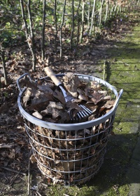 Веерные грабли малые для сада и огорода GT75 Esschert Design фото