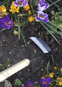 Садовый плоскорез для рыхления и прополки на длинной ручке Burgon & Ball фото