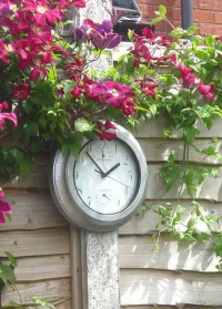 Уличные садовые часы Galvanized Effect Briers картинка 2