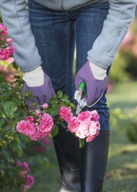 Перчатки садовые с нитрилом Plantation Violet AJS-Blackfox картинка 2