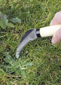 Нож садовый для удаления сорняков на газоне Burgon & Ball (Великобритания) фото