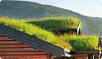 «Зеленые» крыши: из картинок в Pinterest в реальность средней полосы России 